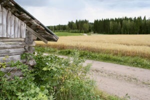 Teivaalan Tupa pellot